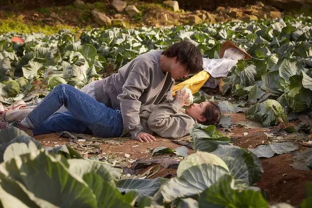 比釜山行更精彩更刺激的丧尸,釜山行这部丧尸片凭什么让你哭