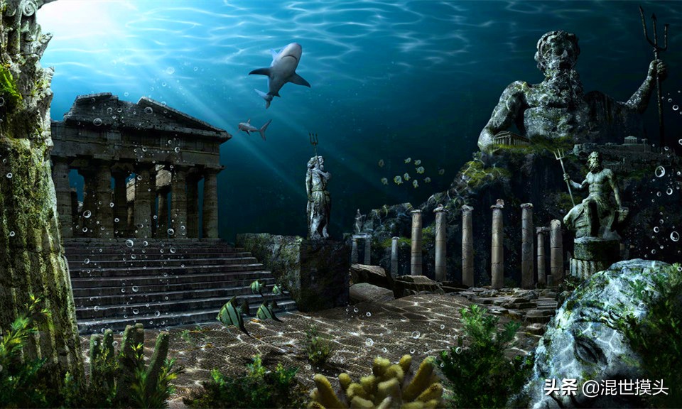 世界上的七大洲是哪些,世界七大洲有哪几个洲