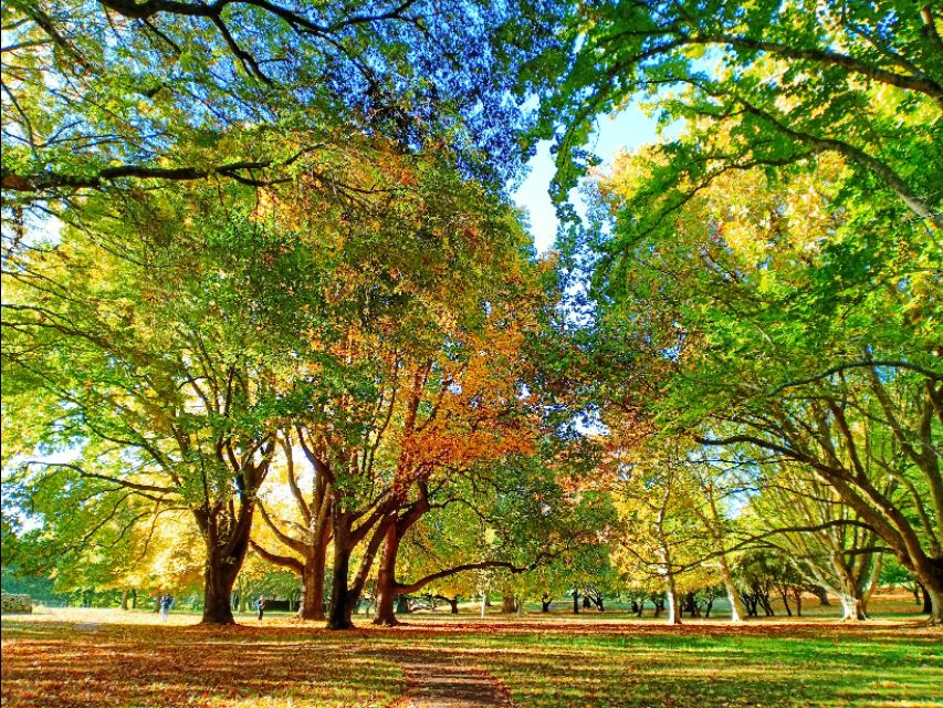 一树山,我的精神家园