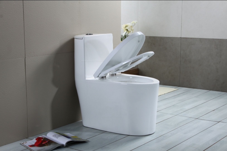 马桶底座边缘漏水会出现小黑虫吗,老马桶一冲水后底座边缘就漏水