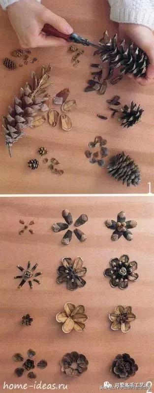 坚果壳吃完不要扔垃圾桶,坚果果壳做手工