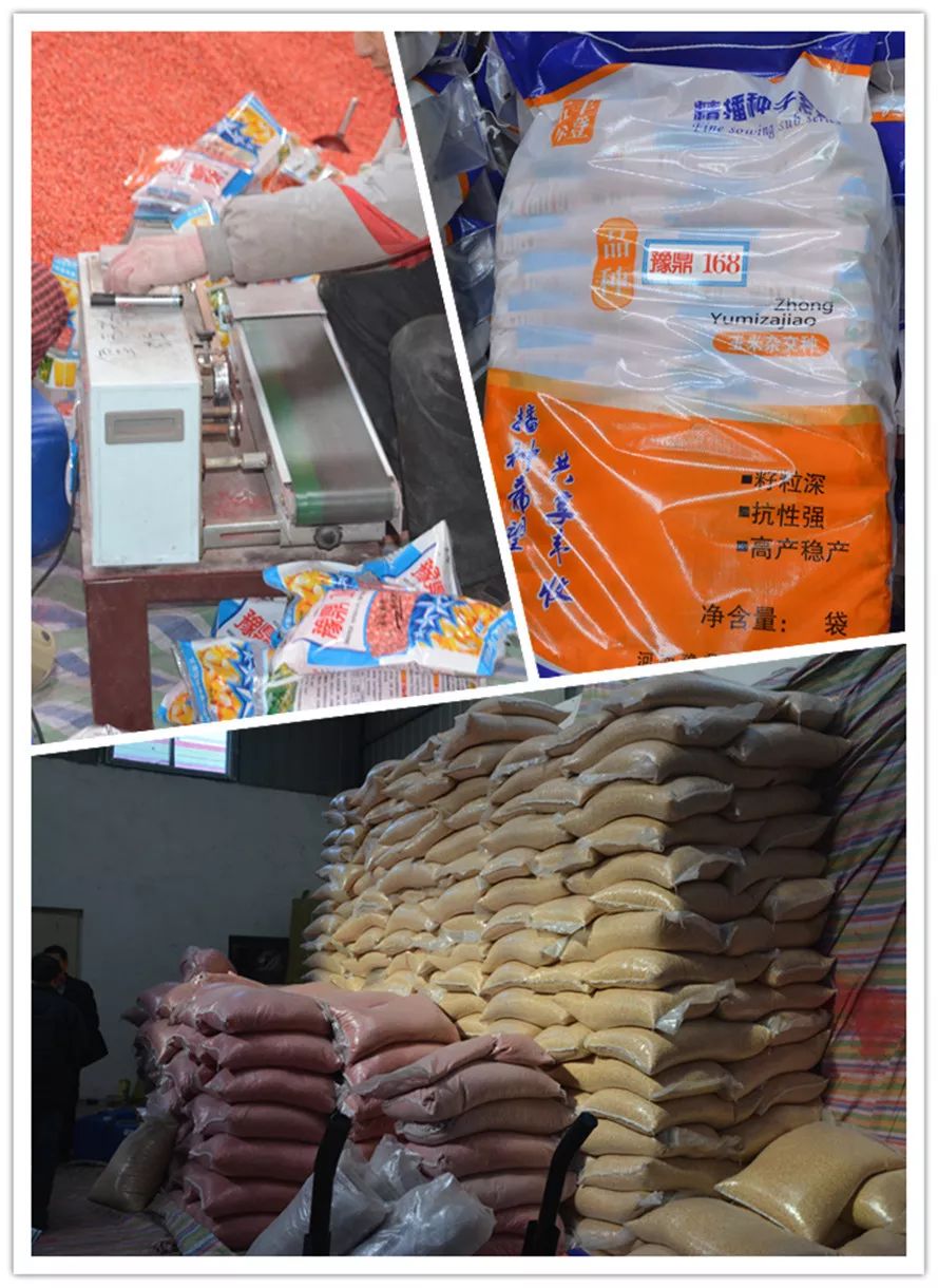 无生产许可证生产种子怎么处理,四种情况无须种子生产经营许可证