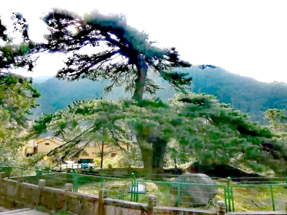 九华山地藏王坛城,九华山地藏王菩萨修行洞