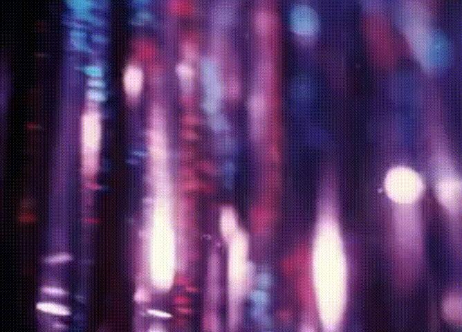 迪奥dior2020走秀冬季款运动鞋,dior2012春夏走秀视频完整版