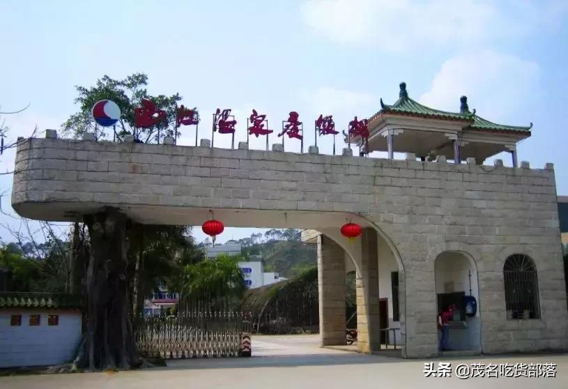 茂名这座城市被誉为什么城,茂名是一座怎样的城市