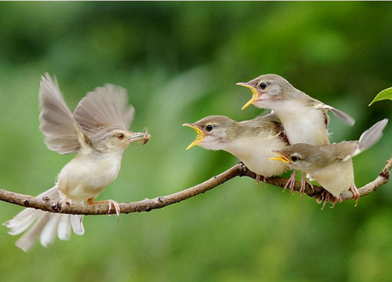 生了智障儿童怎么办,生了自闭症孩子父母好绝望