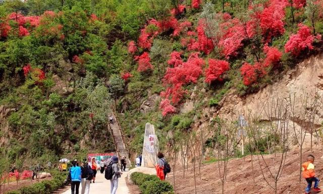 西泰山是什么样的,西泰山为啥叫西泰山