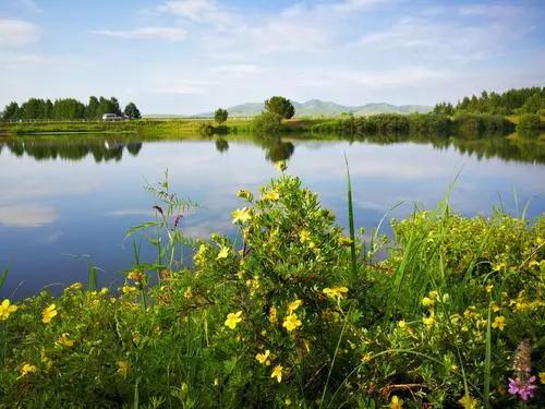 坝上三大景点,坝上草原是丰宁还是围场的