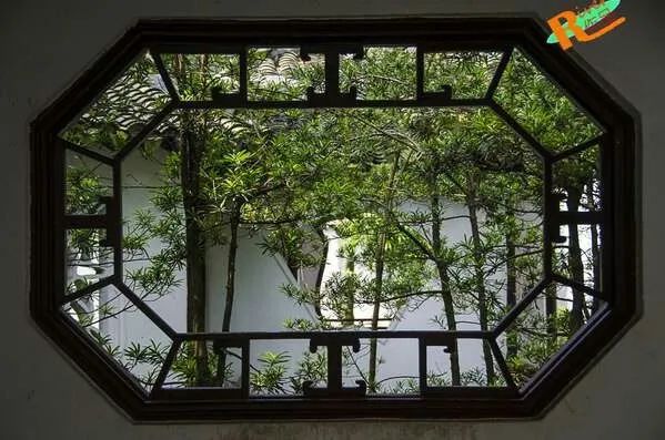 窗的作者,窗小说作者简介