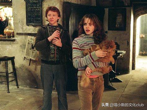 哈利波特电影中真实的动物演员,哈利波特里的动物演员