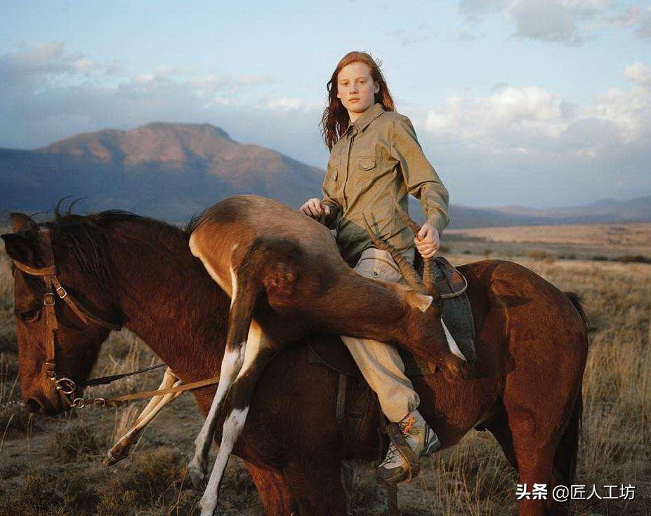 博伊刀最经典刀型,鲍伊刀和博伊刀