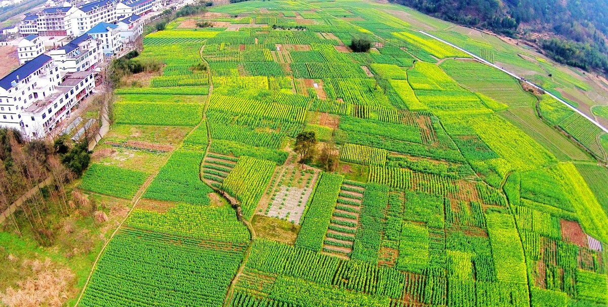 浙江是一座很棒的城市,浙江一个江南古镇
