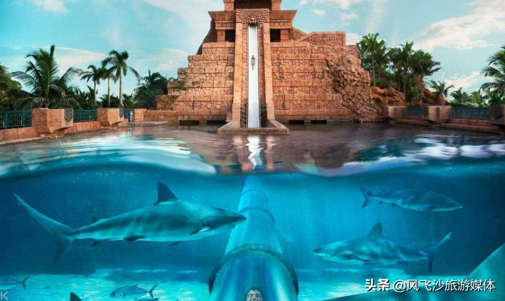 最全的迪拜攻略送给你,迪拜免费攻略