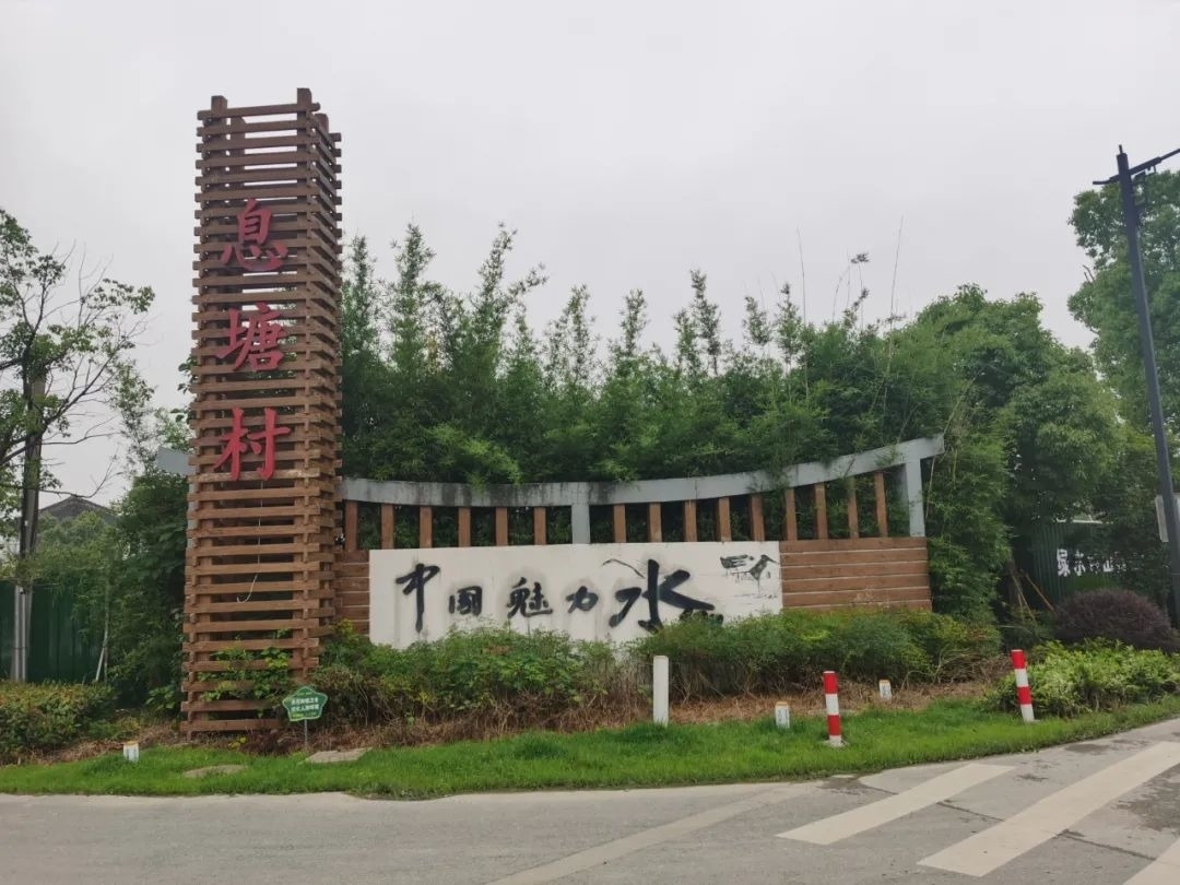 心怀淡雅不落俗,心怀淡雅