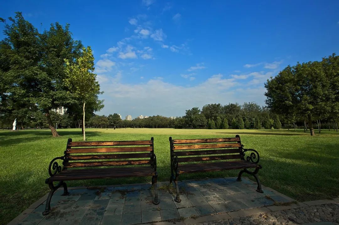 天津免费景点,天津必游的免费景点排名前十