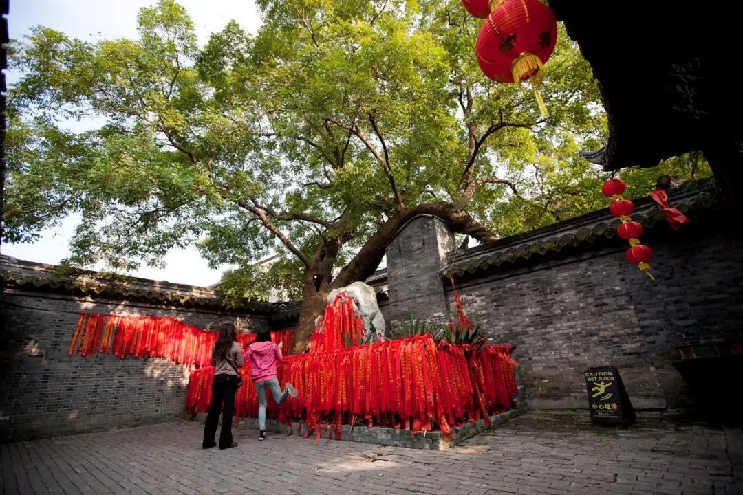 浓情端午|泰州三日游线路送上，水韵休闲风走起