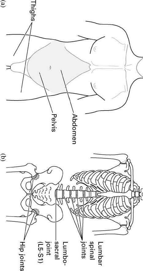 普拉提动力链,普拉提动力动作