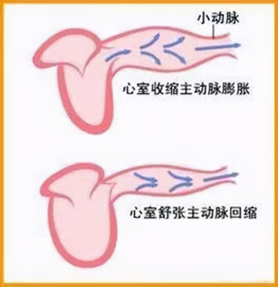 低压高血压治疗,低压高高血压如何选择降压药