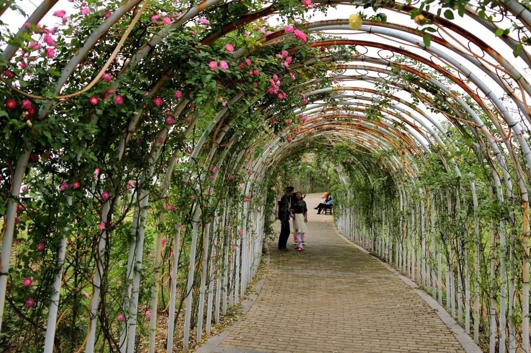 南昌春游最值得去的景点有哪些,南昌五一最美景点