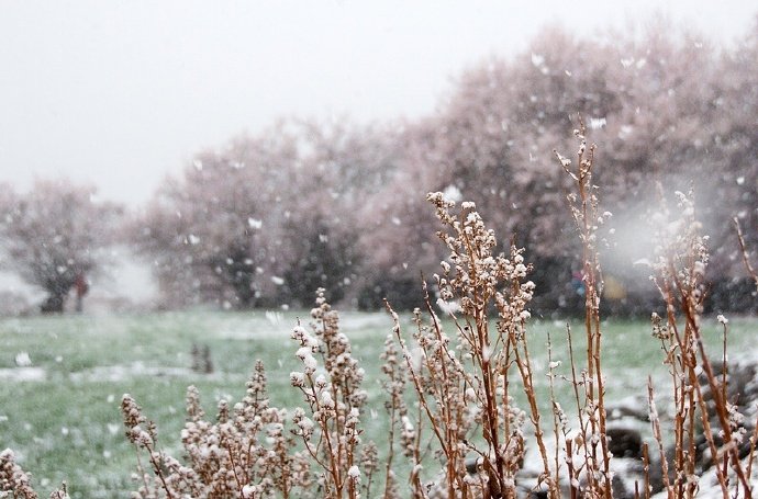缺铁性贫血检查哪些项目,常见的儿童缺铁性贫血的治疗方法