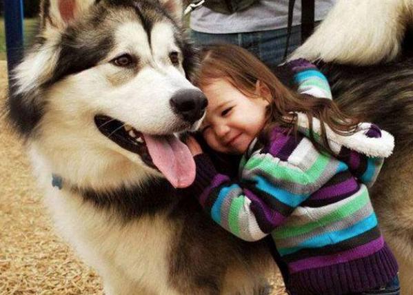 狗狗叫什么名字好听顺口霸气,狗狗叫什么名字霸气招财