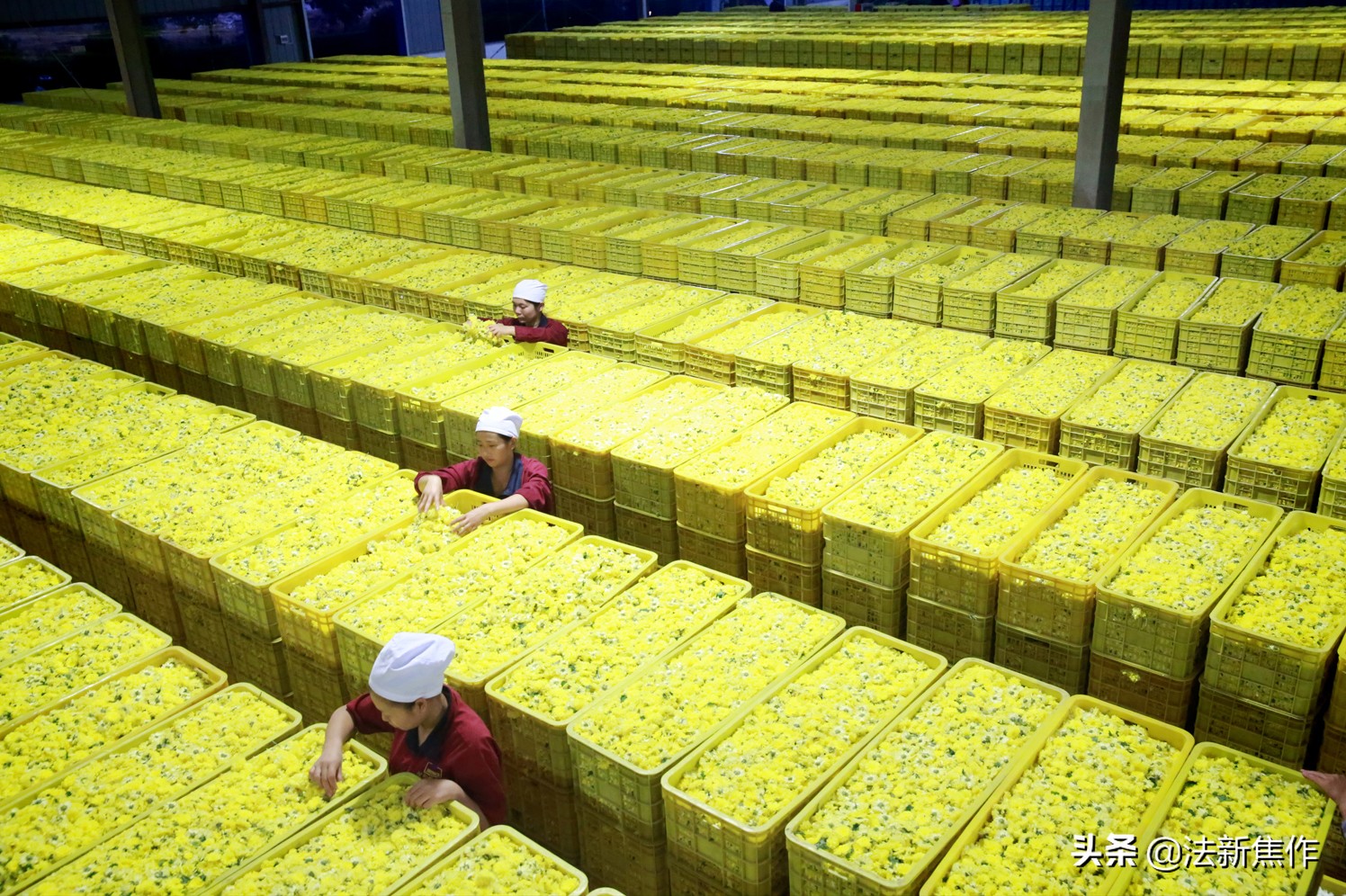 建党百年感人诗歌,献礼建党百年诗