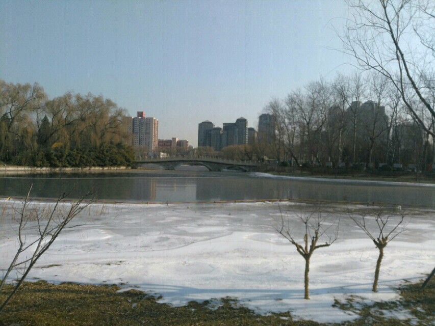 畸形的爱,畸形的爱情电影