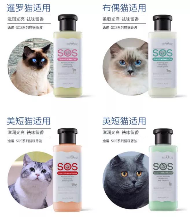 棣欓鐨勫皬鐚挭鍥剧墖,棣欓鐨勫皬鐚挭閰嶉煶