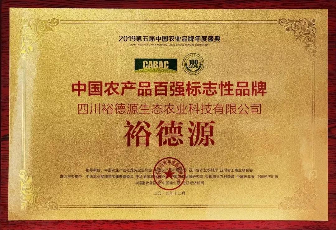 央视新闻报道通江县,今日通江新闻联播