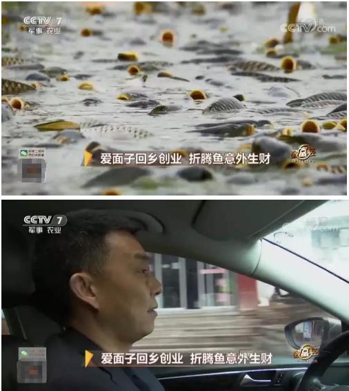 访四川蜀望农林科技有限公司董事长赵志刚