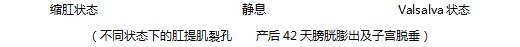 【大写的尴尬】大笑咳嗽时尿*禁失**了——四维超声带你认识盆底健康