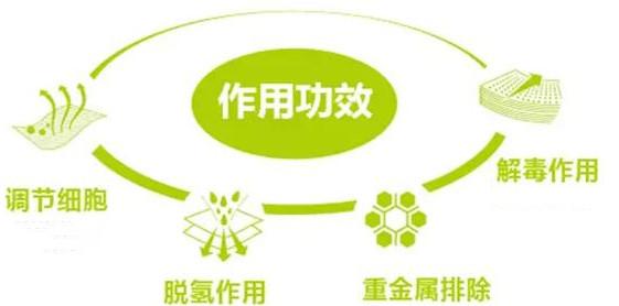 一岁一寒一春秋，一草一木一参花。