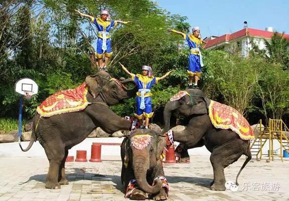 西双版纳最著名的旅游景点,西双版纳旅游景点排行榜第几