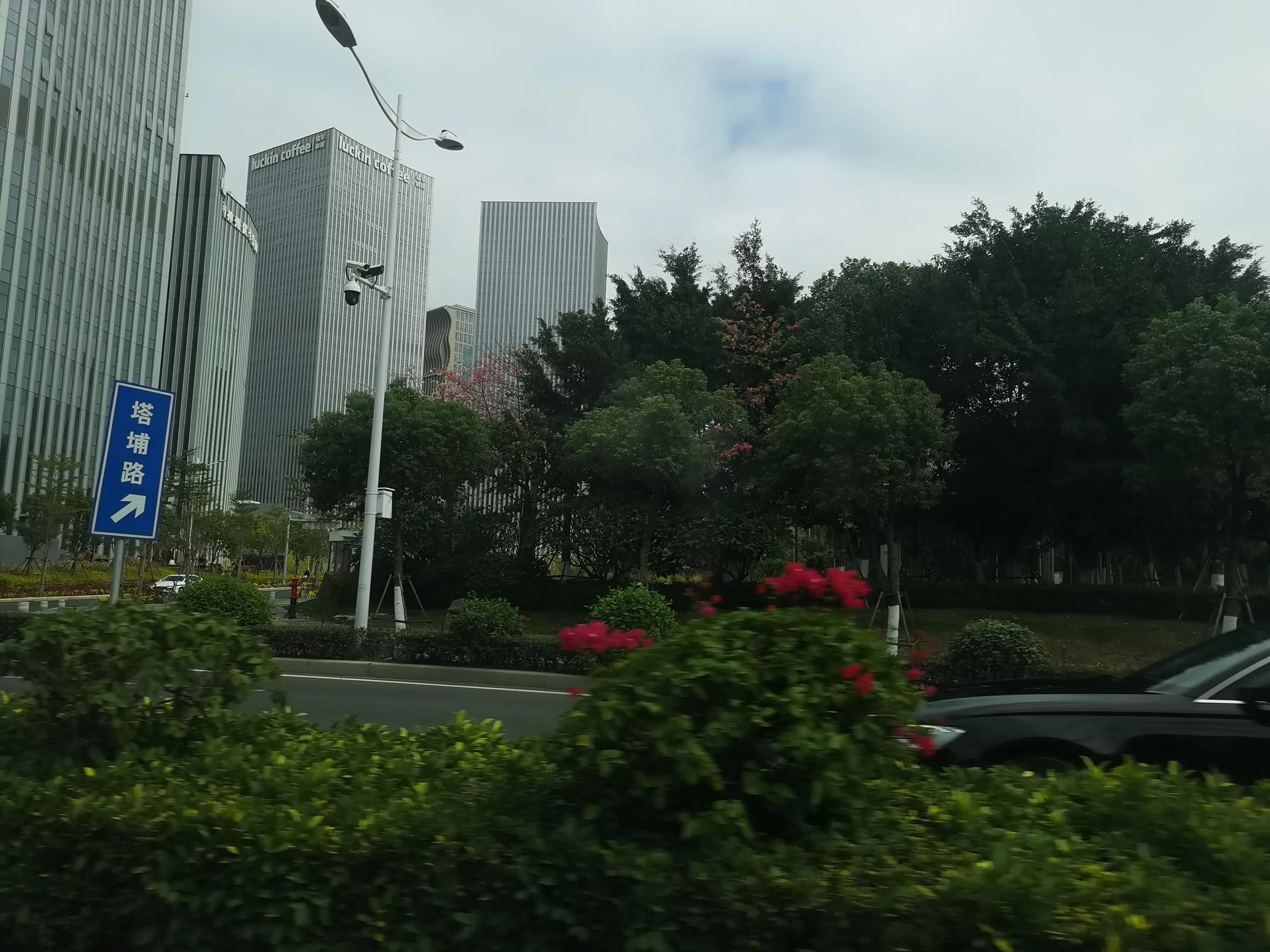 厦门观音山一日游路线,厦门观音山景区