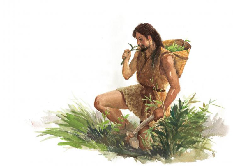 神农尝百草最神奇的地方是什么,神农尝百草要是中毒了怎么办