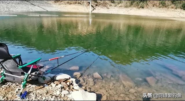 为何它能有这么高的价值？市场售价近百元一斤，重唇鱼珍贵在哪？