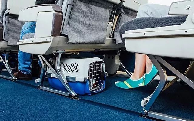 光脚也不过如此!风靡30多国近5星好评“呼吸鞋”,脚趾头都舒坦