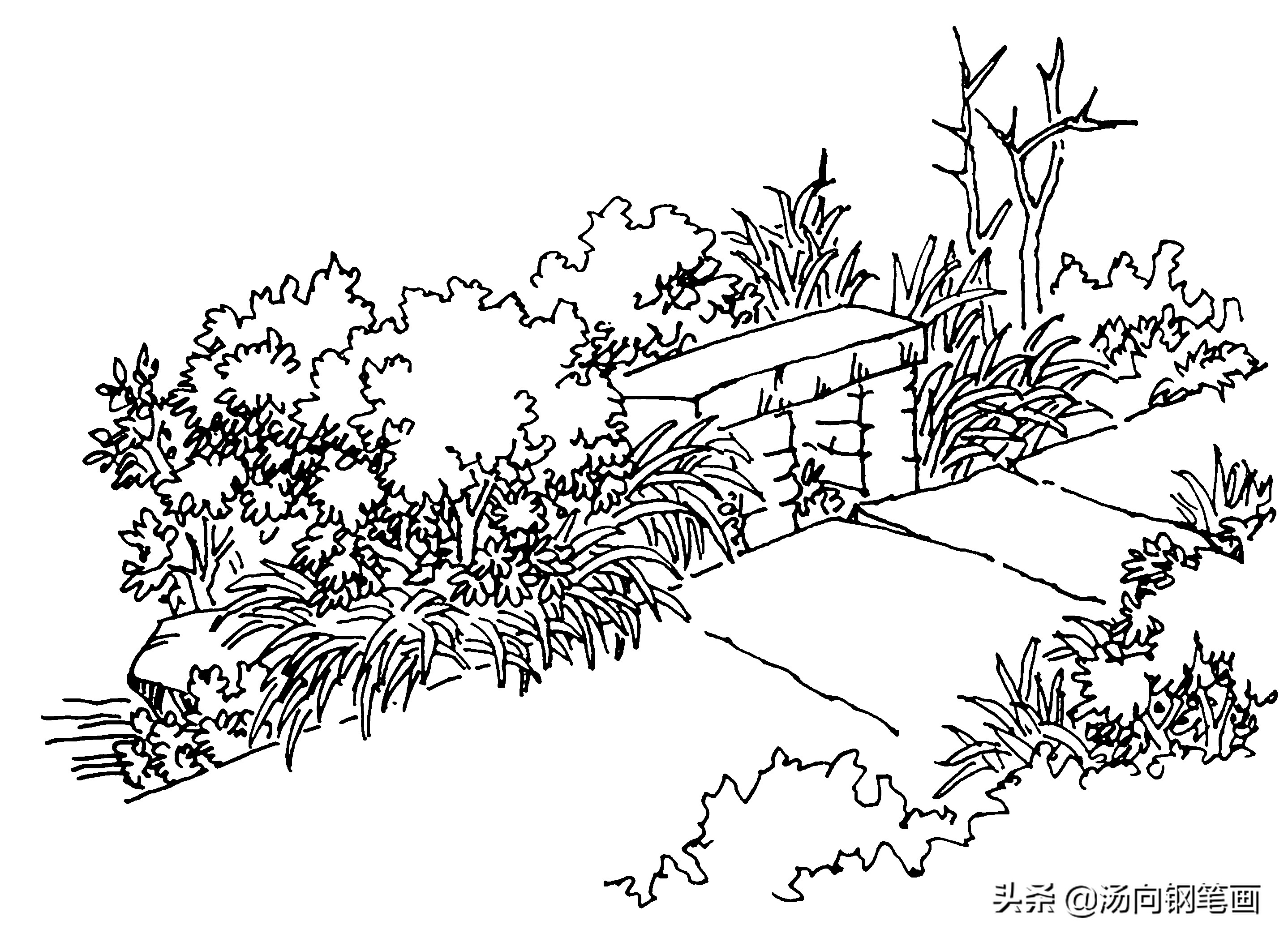 钢笔画入门教程100例,零基础钢笔画入门教程树枝组合