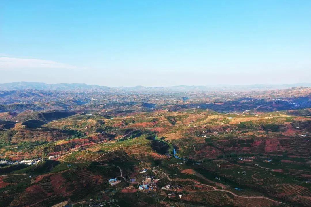 超甜不用吐籽的石榴你吃了吗,不用吐籽的石榴不白吃