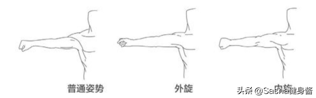 脖颈前伸腰背痛，都是探颈惹的祸，睡前做两个动作，改善探颈问题