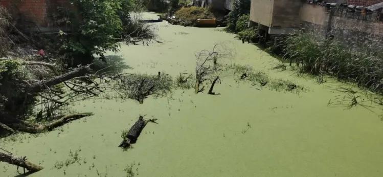 省级督察!常州这些地方脏乱差,涉遥观横山桥横林湖塘牛塘前黄洛阳雪堰湟里