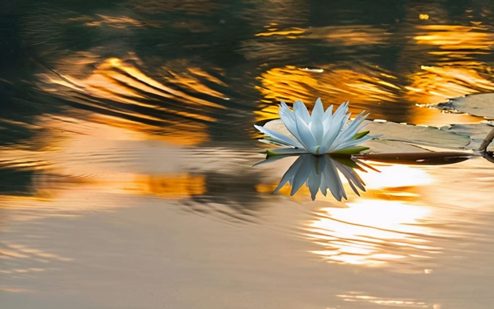 水浒入云龙,水浒政治解读