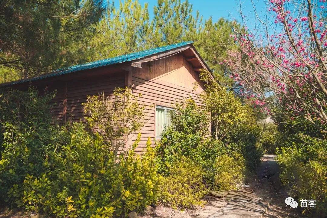 微时光田东,微时光美好生活