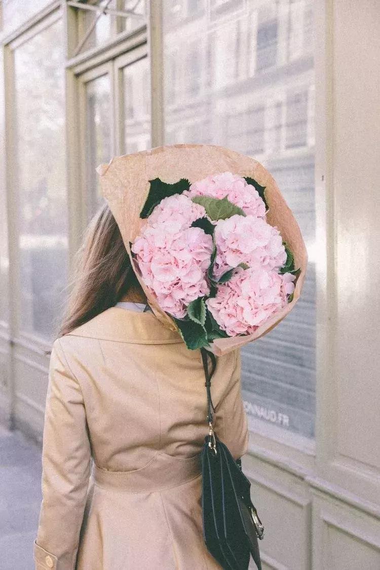 开一个花店指南,如果你也想开一家花店书籍