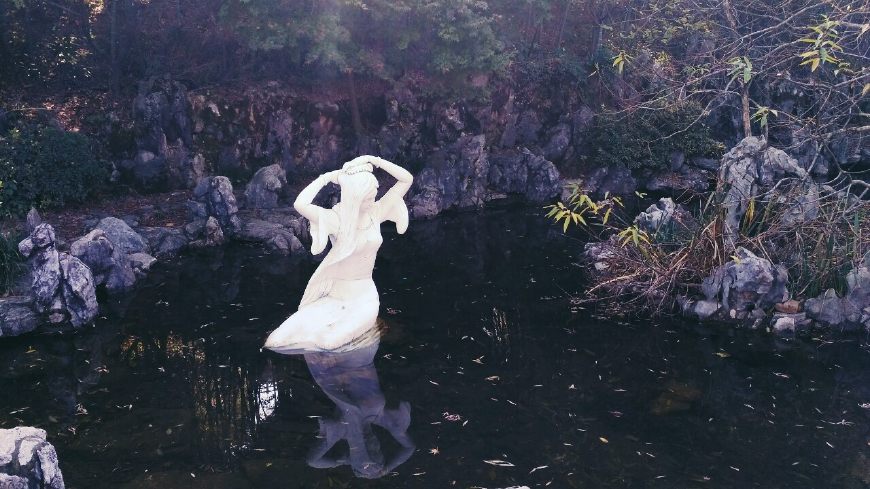 风景秀丽的宜兴竹海,漫步竹林呼吸大自然的清新