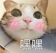 给大家分享工作经验,靠谱的工作经验分享