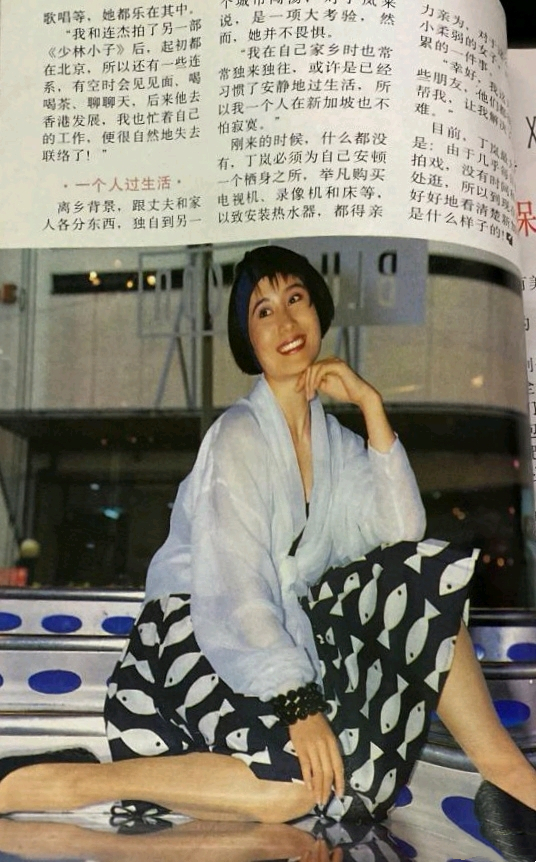 从红极一时到销声匿迹,丁岚现状图片