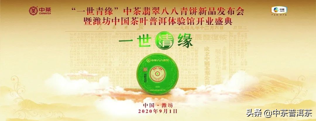 中茶翡翠白菜新品发布会,中茶八八青饼发布