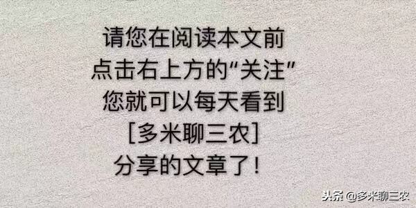 迎亲队伍遇到下葬队伍,农村的结婚迎亲车队