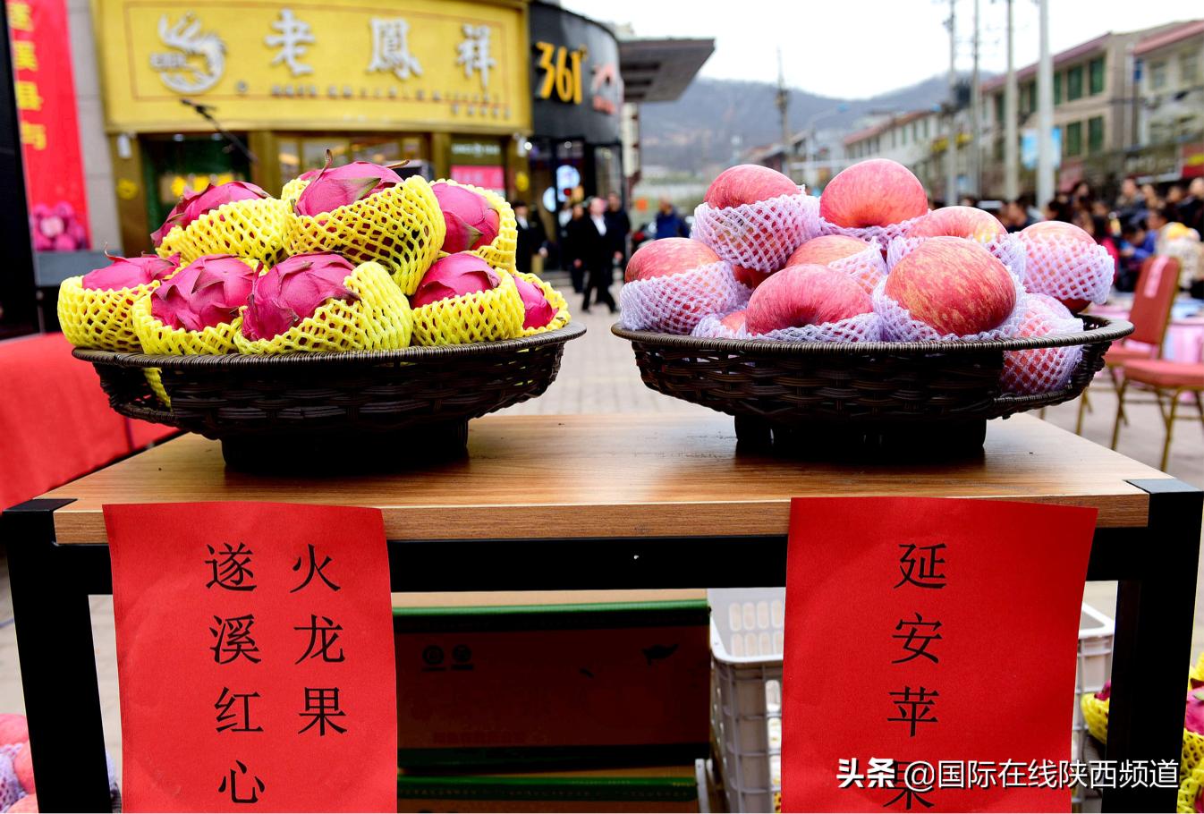 粤陕合作添佳话陕西富县与广东遂溪“牵手”友好结对
